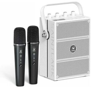Windbridge S99 100W Portable Karaoke Machine Amplifier PA Speaker Wireless Mics